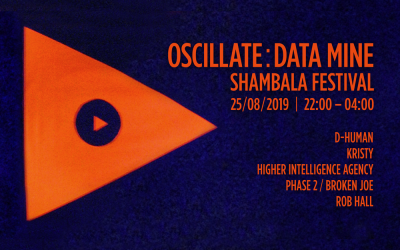 2019 | Shambala Festival